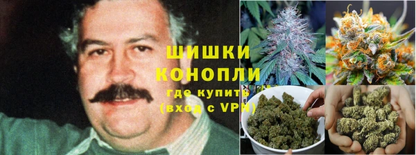 apvp Аркадак