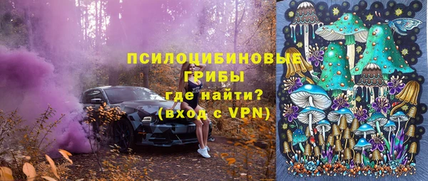 спиды Арсеньев