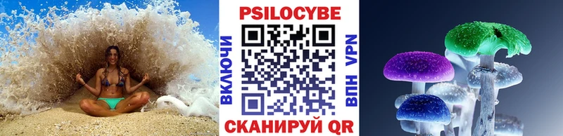 mega tor  Закаменск  Псилоцибиновые грибы Psilocybine cubensis 